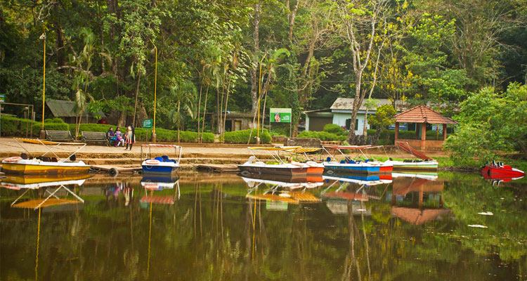 BEST HONEYMOON SPOTS IN KERALA  HONEYMOON SPOTS IN KERALA  KERALA TOURIST SPOTS  കേരളത്തിലെ ടൂറിസ്റ്റ് സ്‌പോട്ട്