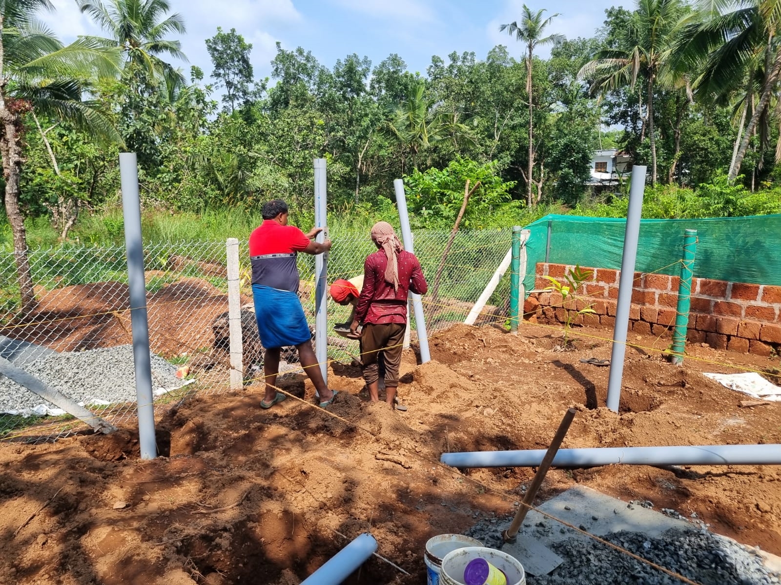 BLACK PEPPER FARMING KANNUR  BLACK PEPPER VIETNAM MODEL FARMING  വിയറ്റ്‌നാം മോഡല്‍ കുരുമുളക് കൃഷി  EFFECTIVE WAYS FOR PEPPER FARMING