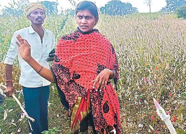 WOMAN SAVE HUSBAND LIFE