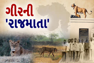 ગીર પંથકની રાજમાતા