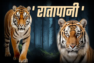 RATAPANI TIGER SAFARI BHOPAL