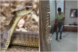 snake was spotted in devhara Saparde village Thane watch video