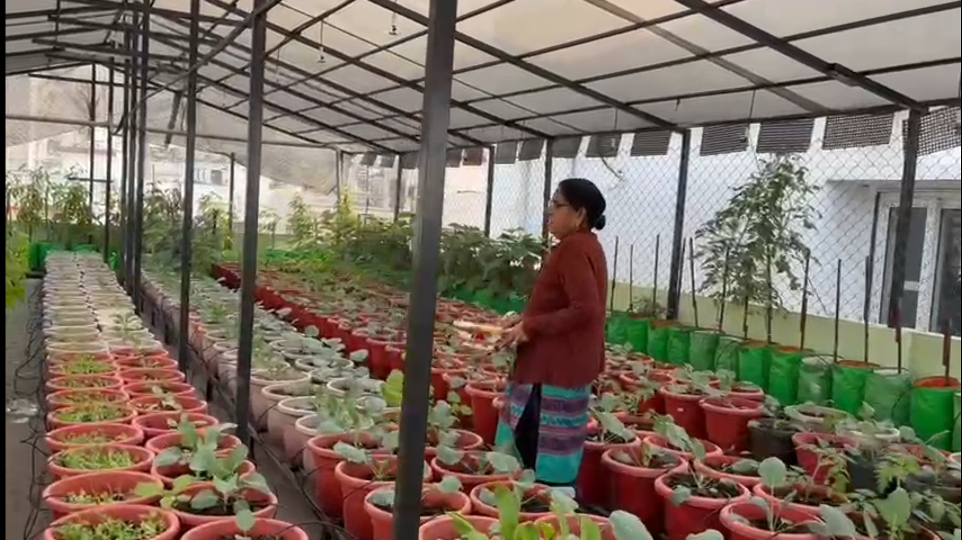 roof gardening technique