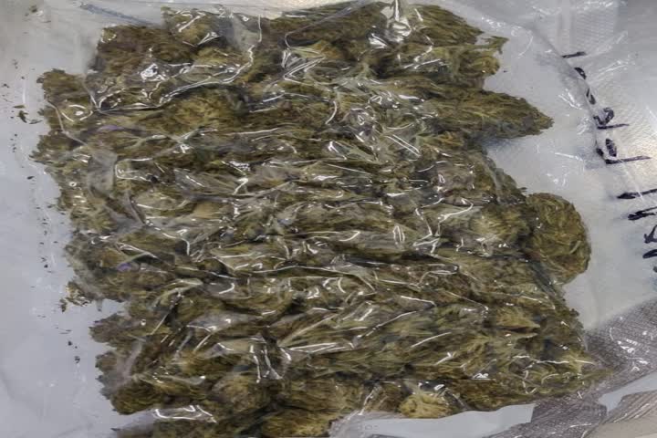 Marijuana worth Rs 1.28 crore seized at Bengaluru airport