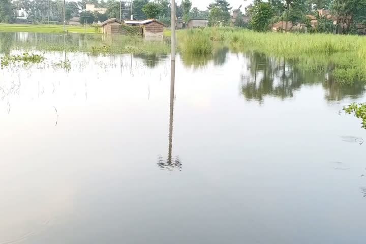 बाढ़ में डूबा गांव 