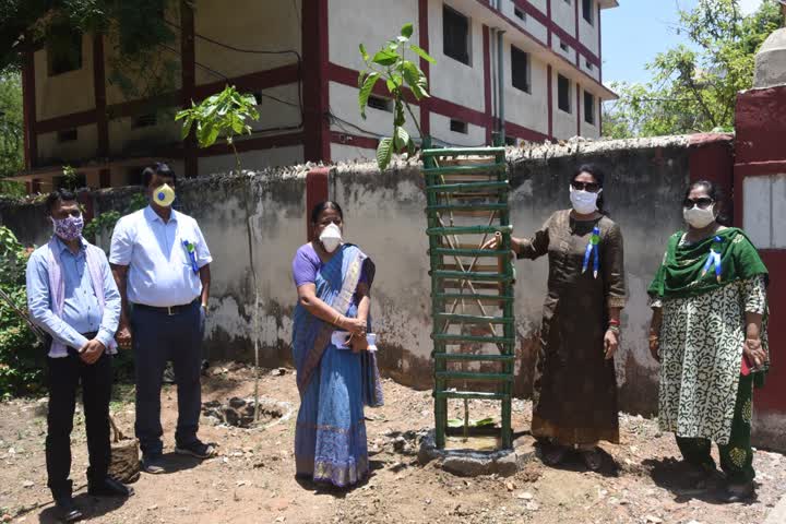 Women and Child Development Department did plantation