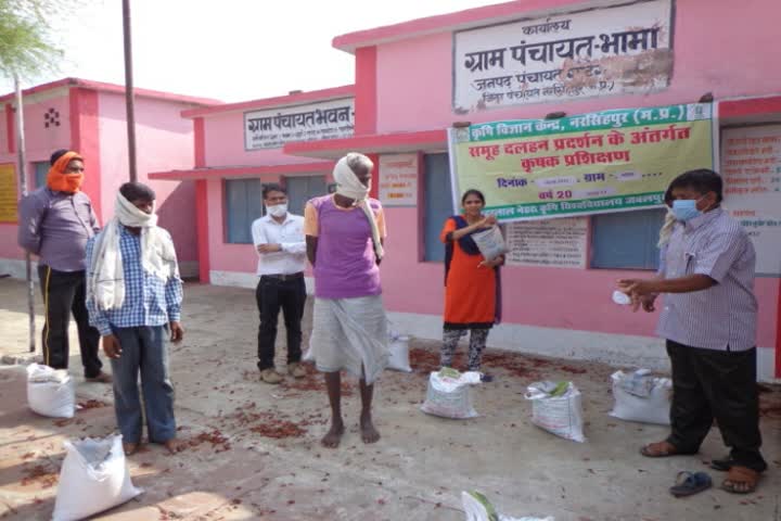 Training in advanced technique of pigeonpea sowing