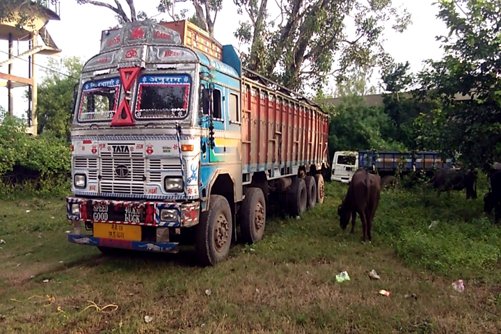 Kunda police crackdown on cattle smugglers