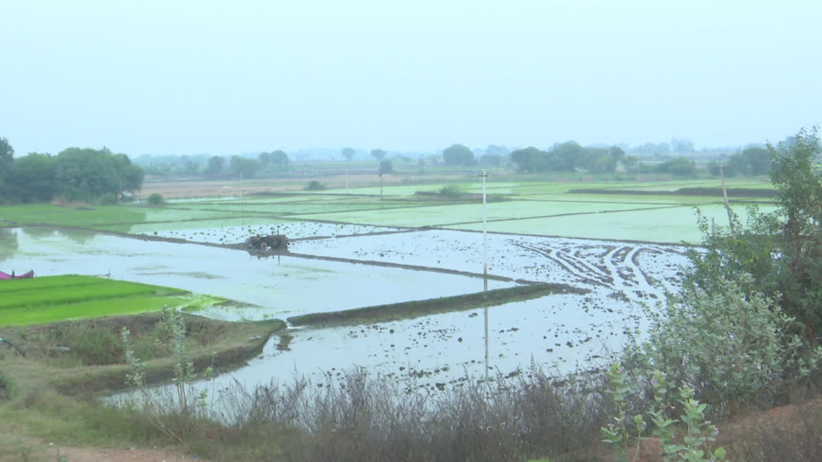 Madhyamaneru, LowerManeru Reservoirs