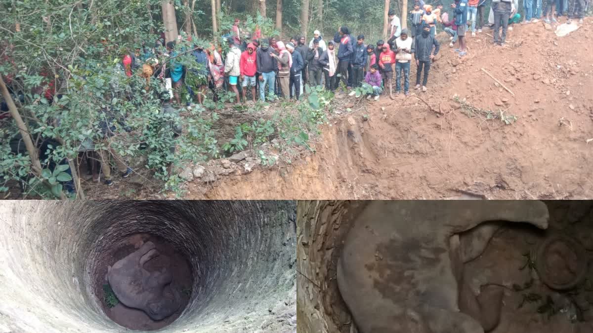 Operation by Forest Department to rescue elephant fallen in well in Seraikela