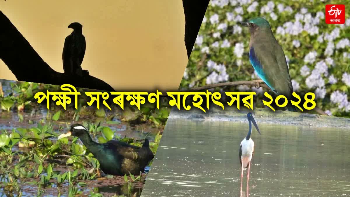 Bird Conservation Festival 2024 to be held in kaziranga