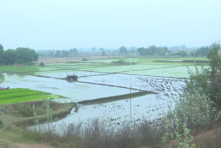 Madhyamaneru, LowerManeru Reservoirs