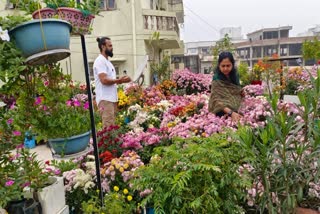 Terrace Garden