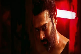 Salaar box office day 13: Prabhas' film caught in downward spiral