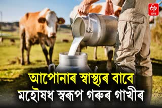 Cow Milk: If you don't want cholesterol, heart attack and stroke then drink cow's milk