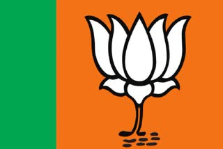 BJP brings organisational reshuffle in 45-member team