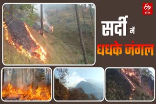 Fire incidents in forests