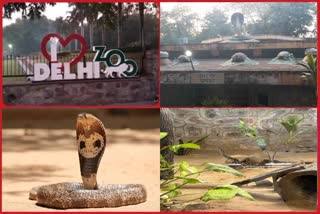 दिल्ली  नेशनल जूलॉजिकल पार्क