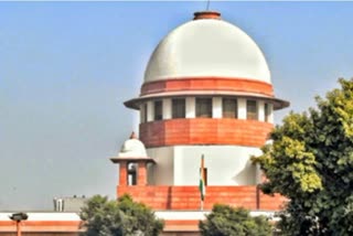 SC dismisses plea