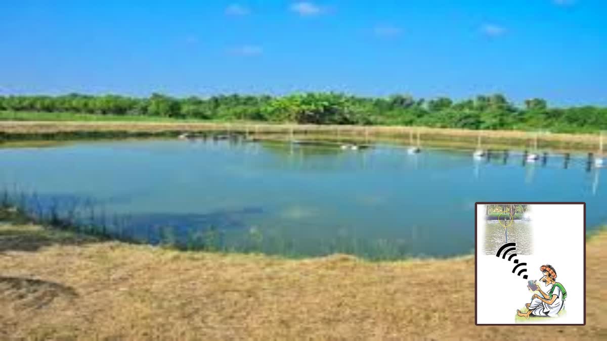 Aquaculture in AP