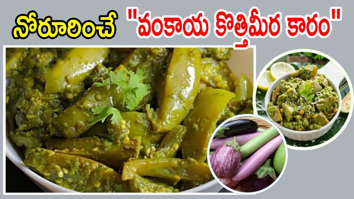 How to Make Brinjal Kothimeera Karam