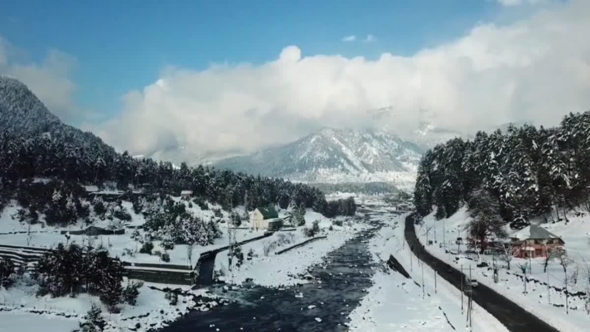 J&K: Snow Forecast In Kashmir From Tonight, Dense Fog Halts Flight Operation At Srinagar Airport