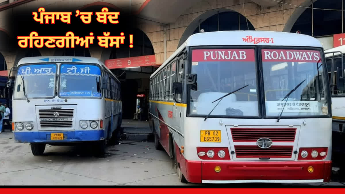 Punjab bus strike