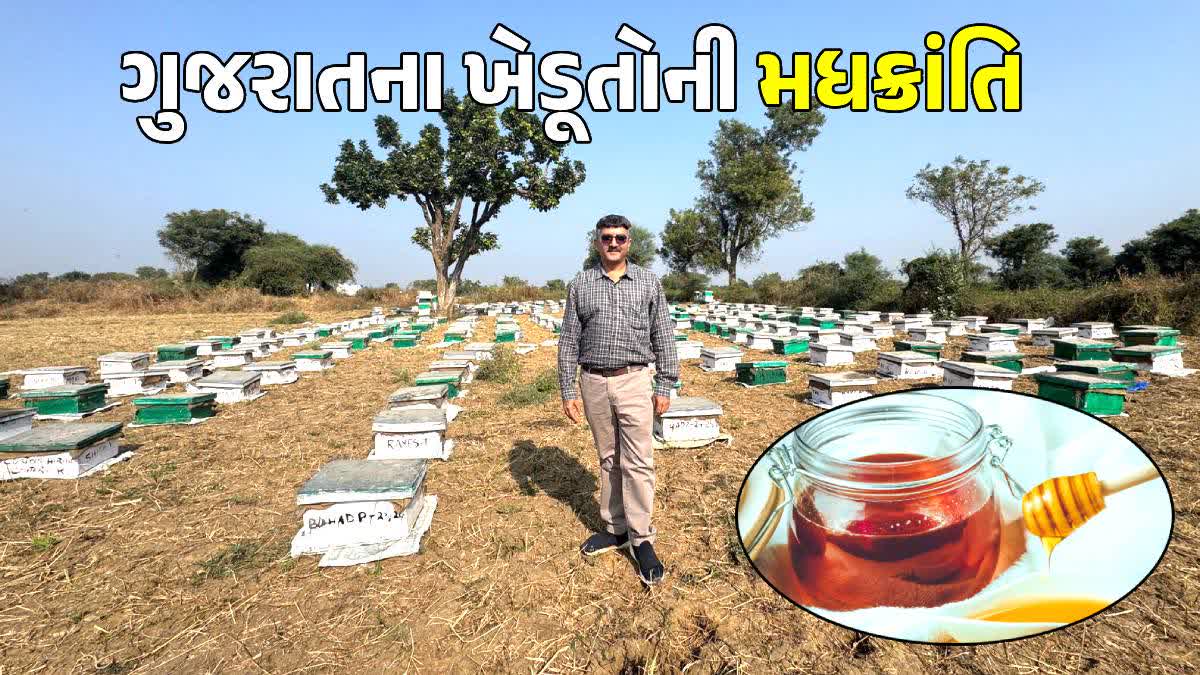 ગુજરાતમાં ખેડૂતોની મધ ક્રાંતિ