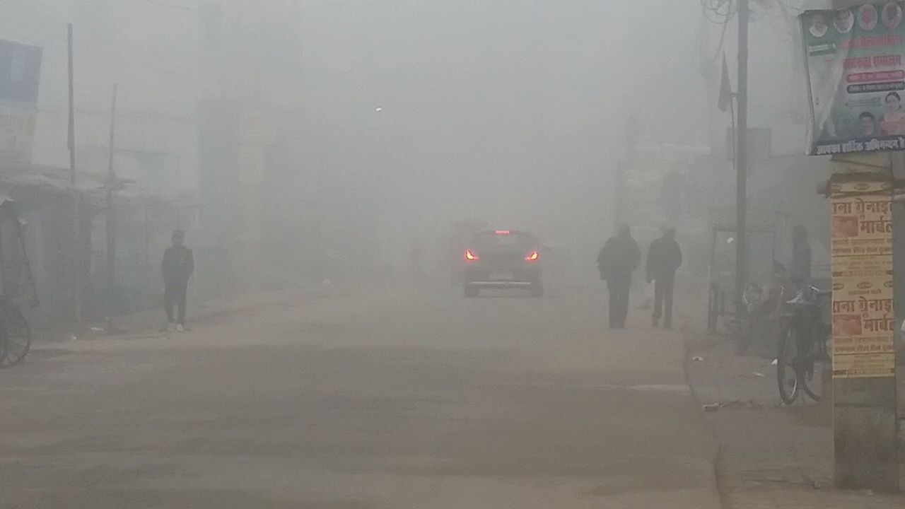 Effect of fog in Bihar