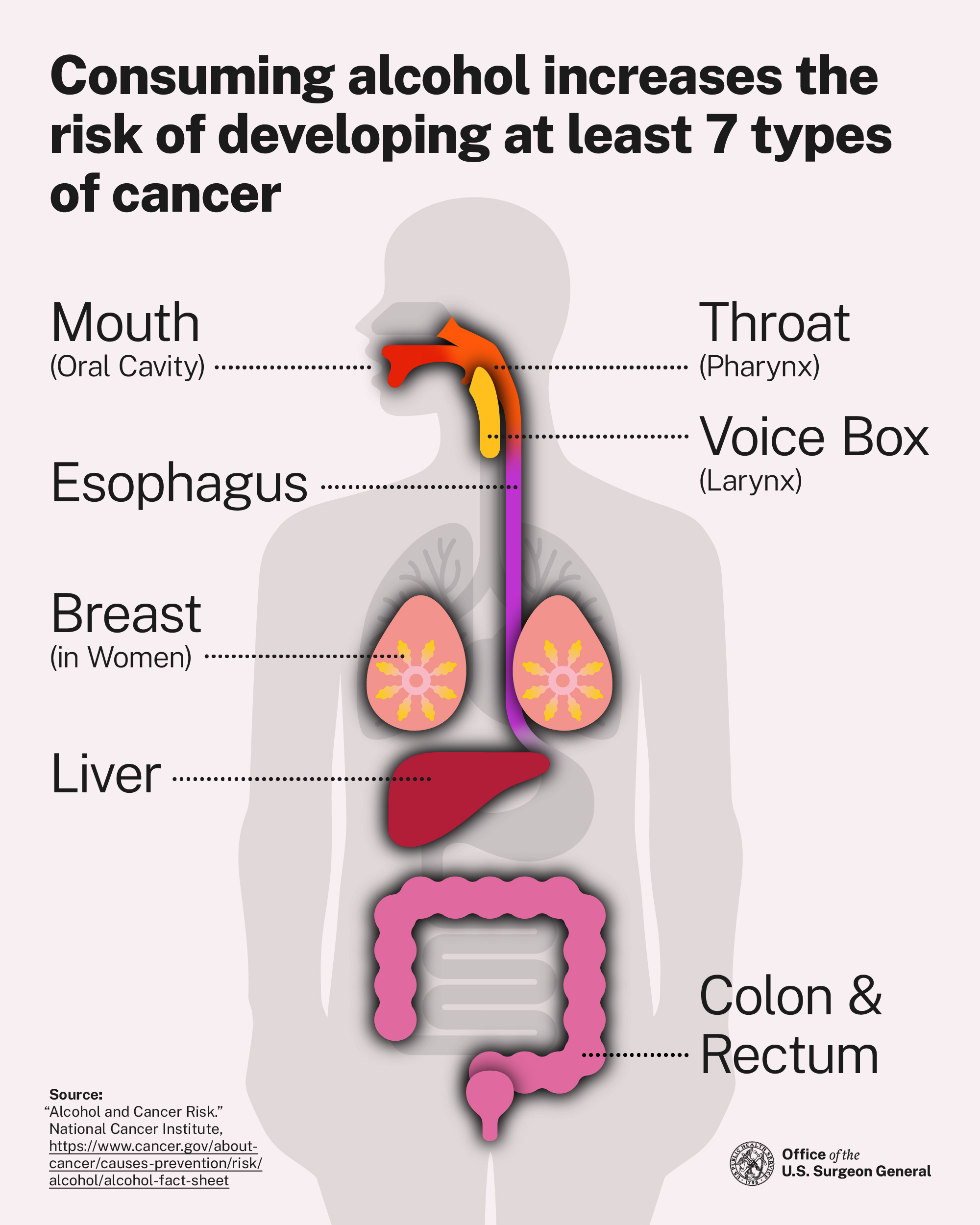 Alcohol and Cancer: Breaking Down the US Surgeon General's Latest Warning