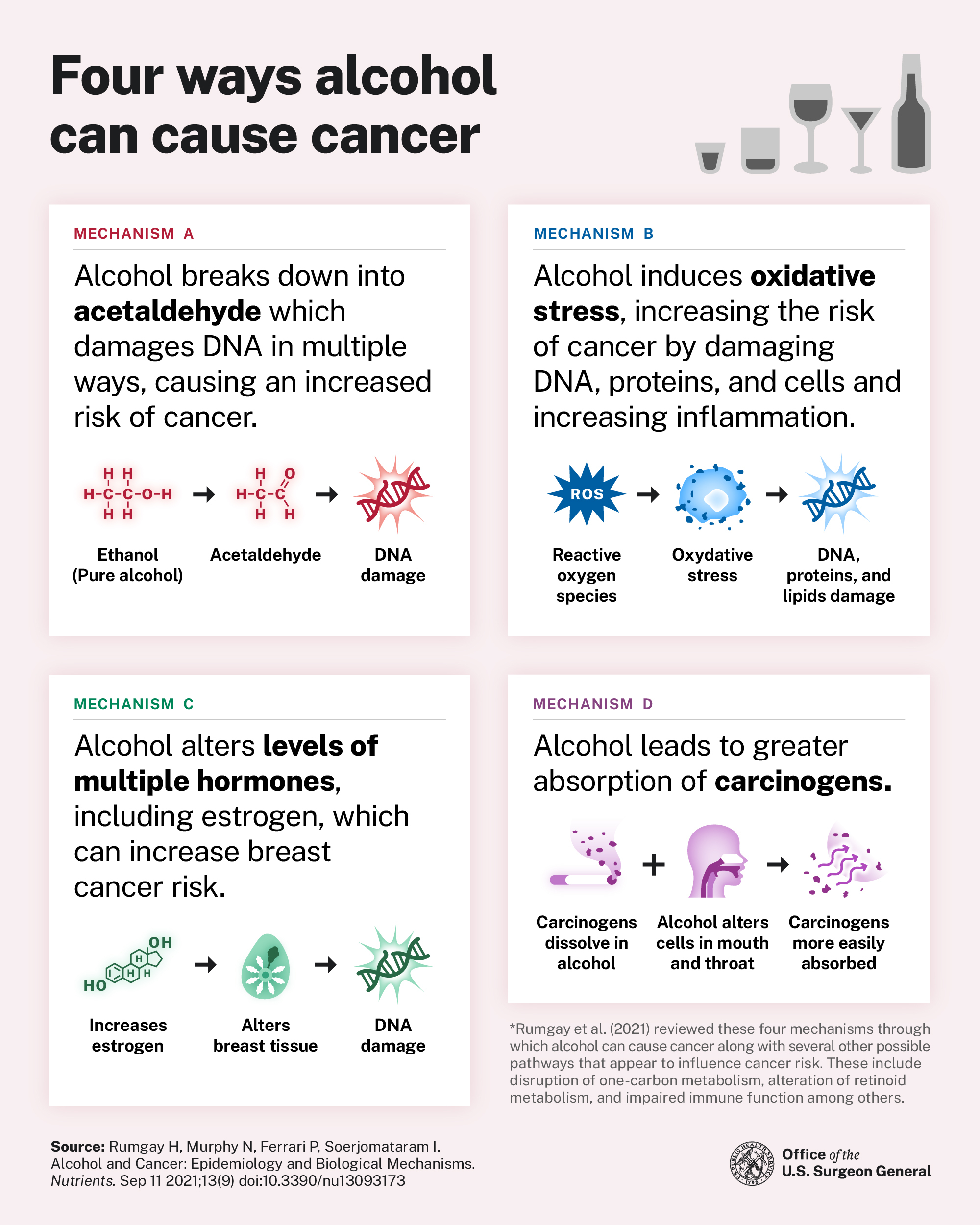 Alcohol and Cancer: Breaking Down the US Surgeon General's Latest Warning