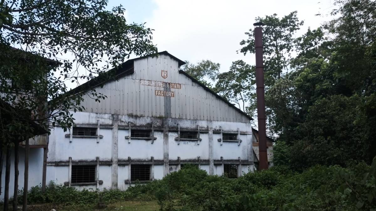 The factory of Raipur Tea Estate