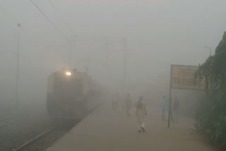 Effect of fog in Bihar