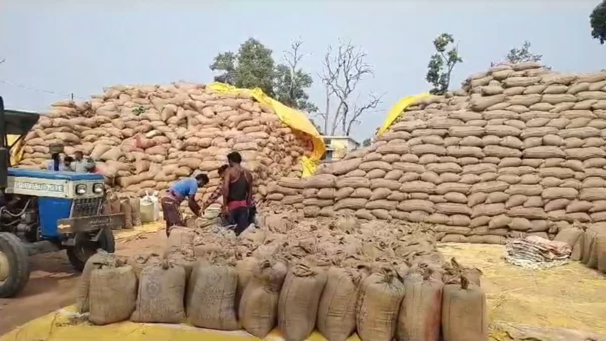 last day of paddy procurement in Chhattisgarh