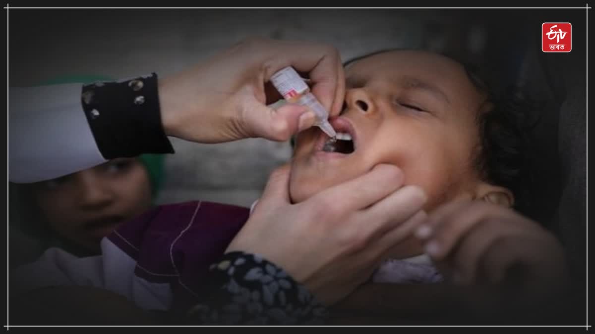 Pakistan polio cases