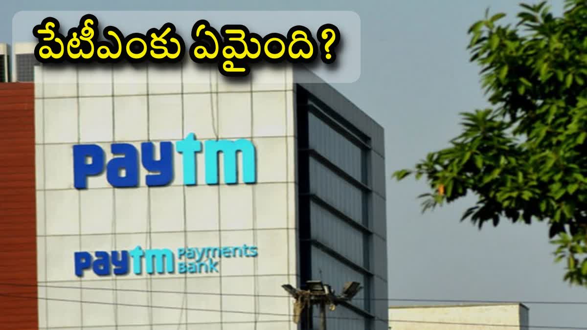 RBI Paytm Issue RBI Guidelines On Paytm