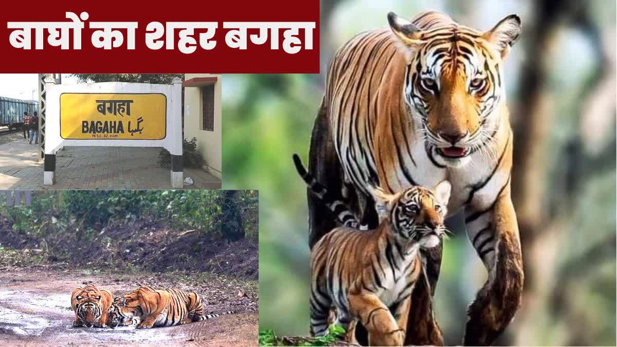 बगहा का नाम सदानीरा था