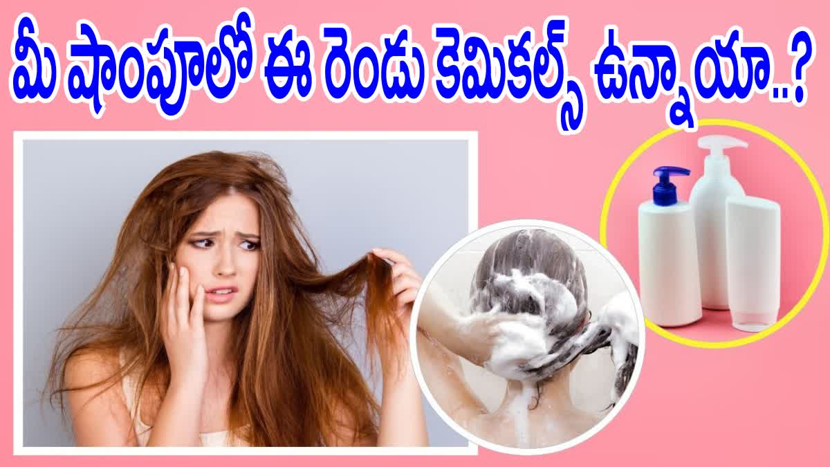 Healthy Shampoos For Dry Hair