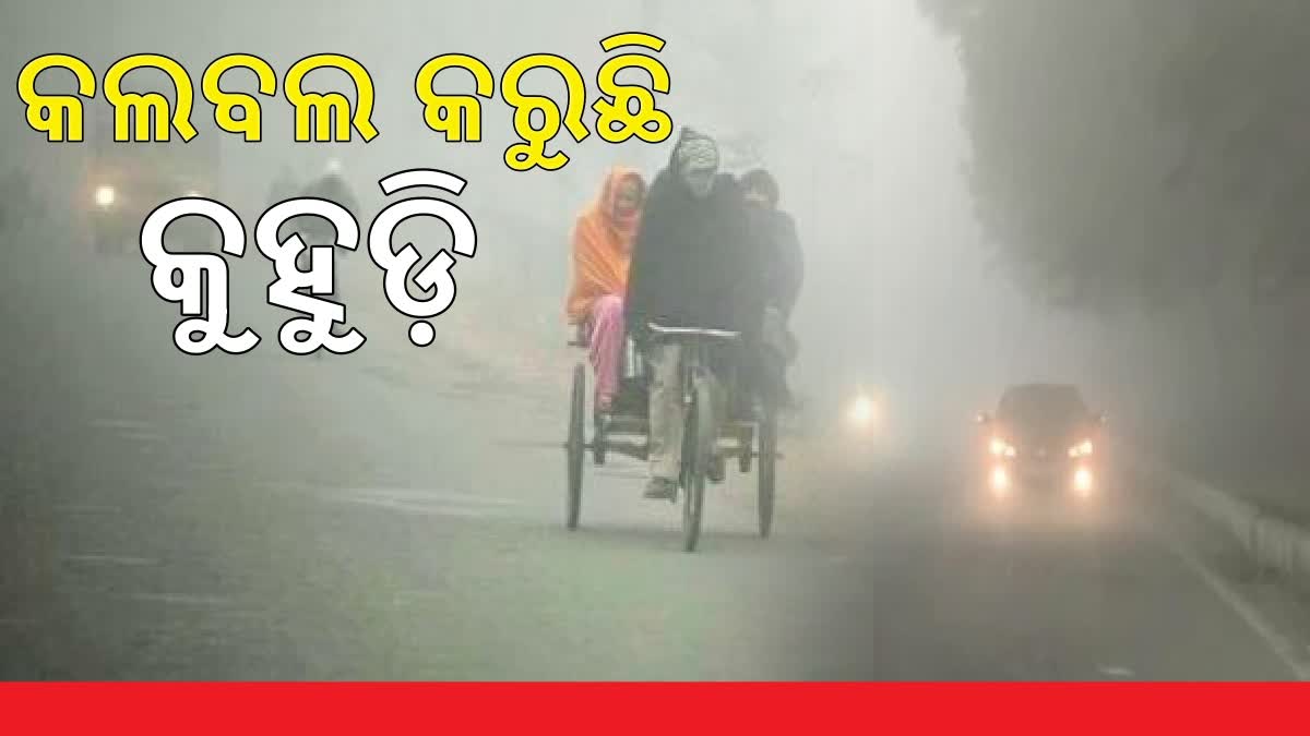 ରାଜ୍ୟରେ ଘନ କୁହୁଡି଼ର ଆସ୍ତରଣ