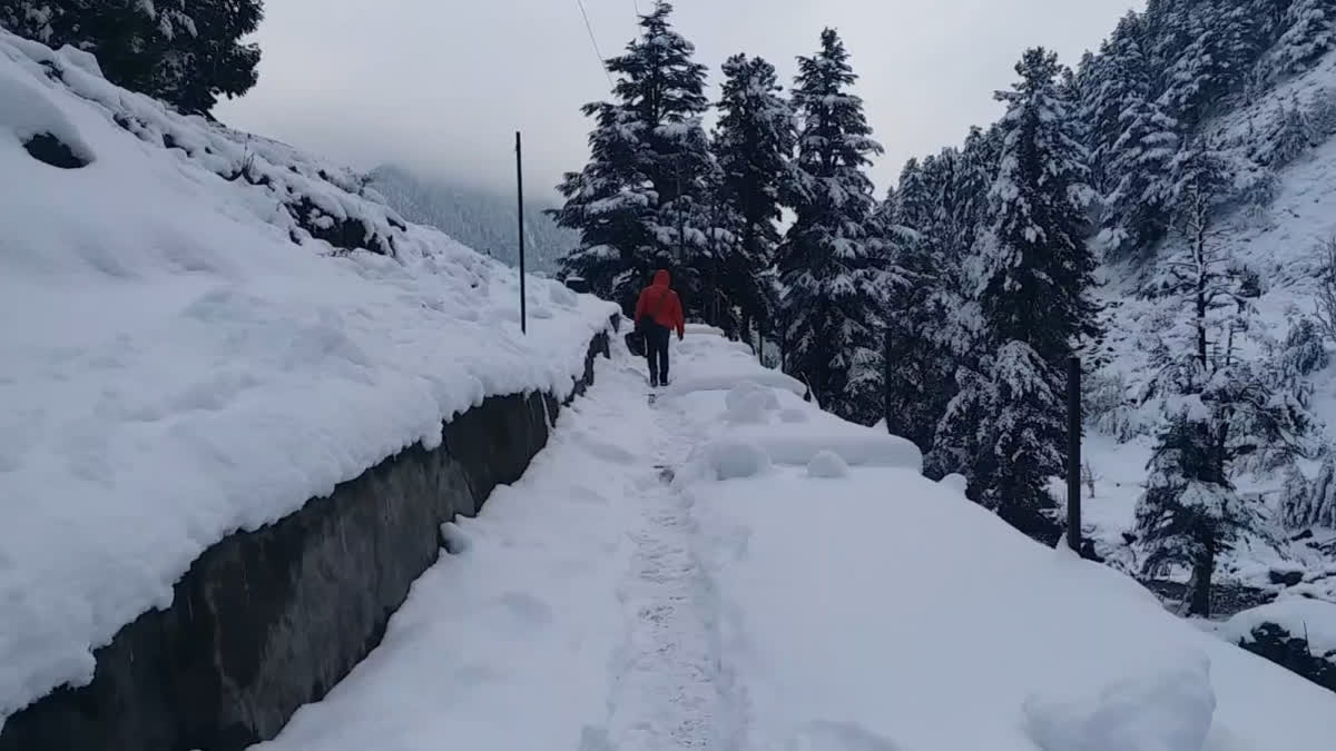 Kashmir, Snowfall, Kashmir winter