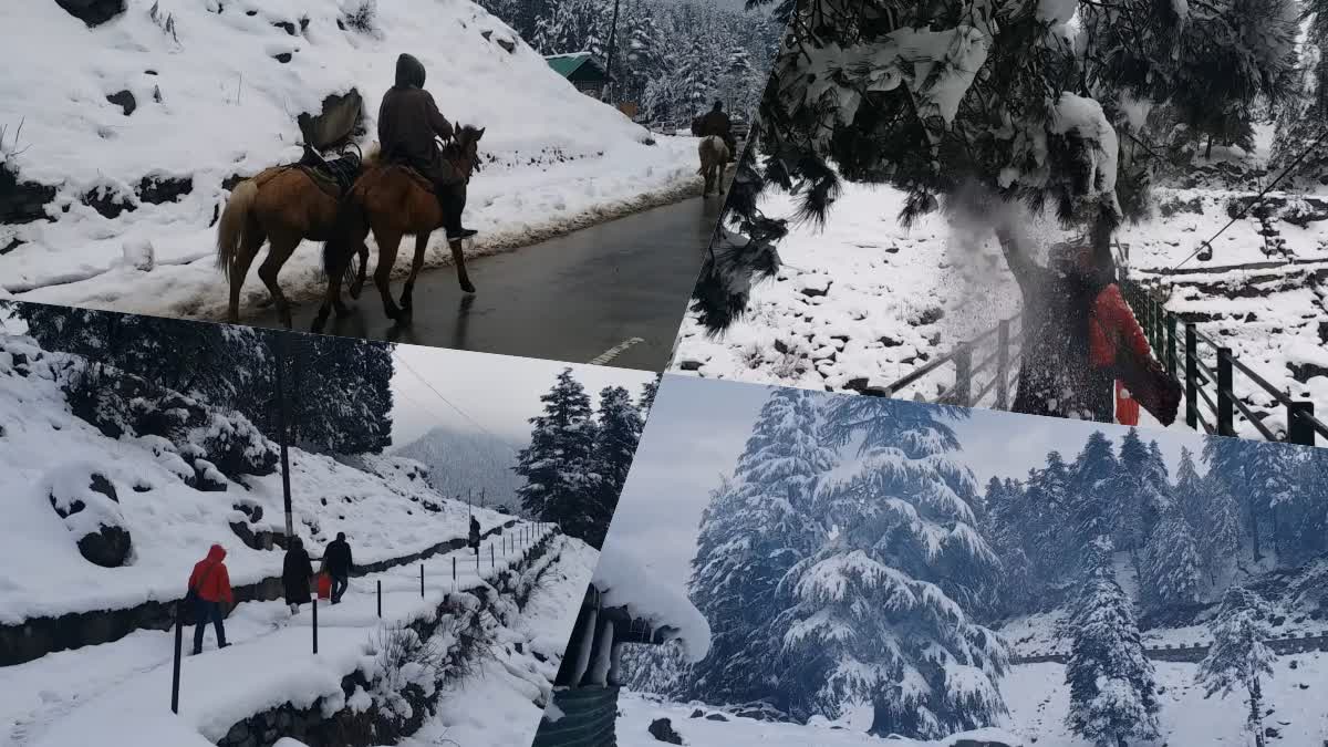Kashmir Snowfall  winter  Kashmir beauty  കശ്‌മീർ മഞ്ഞുവീഴ്‌ച  കശ്‌മീർ ശൈത്യകാല കാഴ്‌ചകൾ