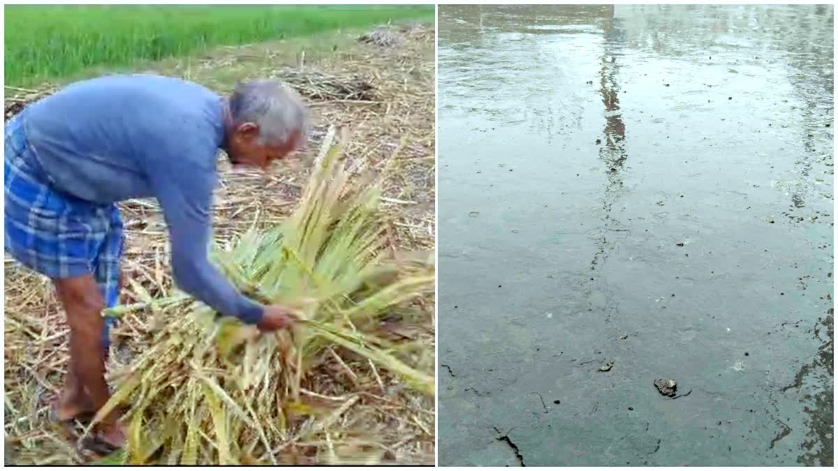 बगहा में बारिश