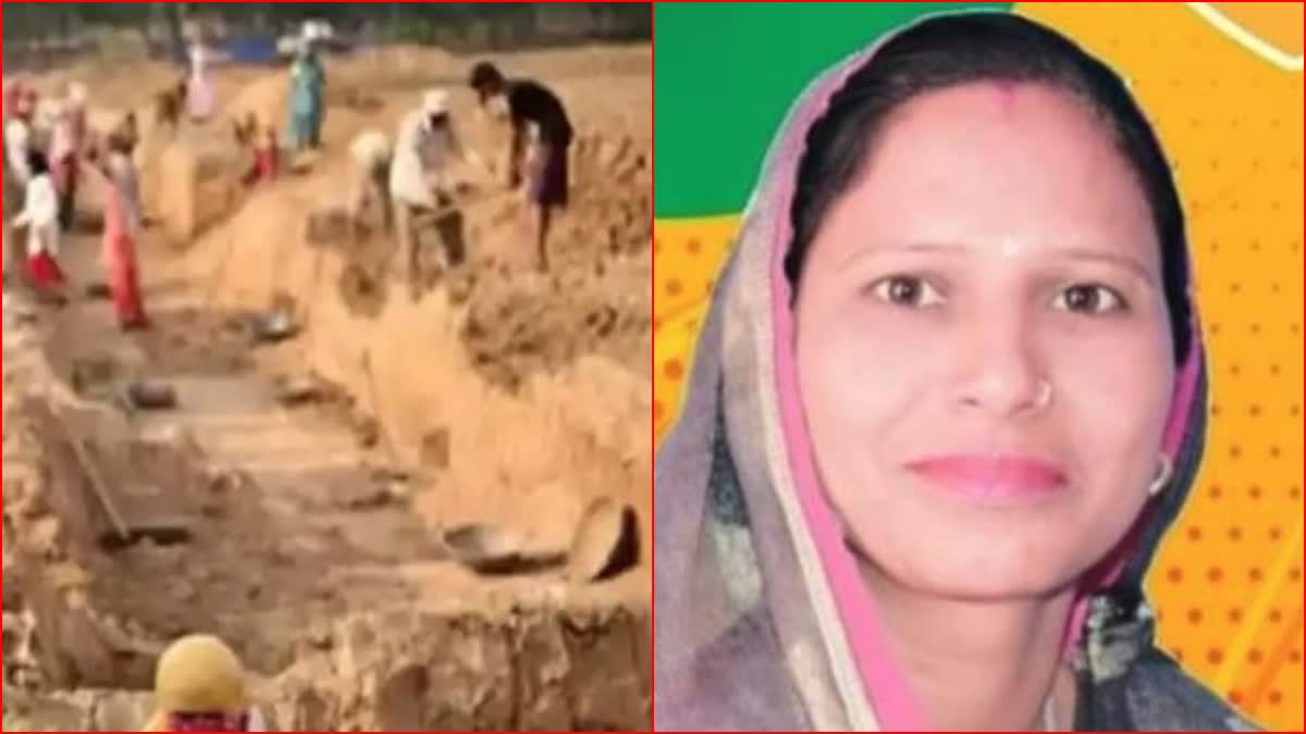 Nuh Mgnrega Scam FIR Ex Bjp Mahila Morcha Chief Ex Sarpanch Anju Bala Haryana News