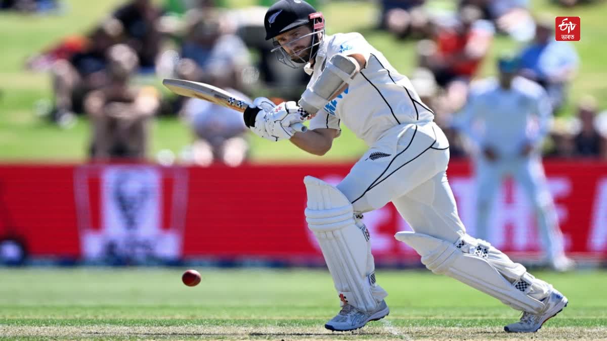 Kane Williamson