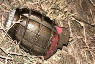 Hand grenade found in indore