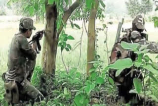 2 female Naxalite cadres, 3 CRPF jawans killed in Chhattisgarh encounter