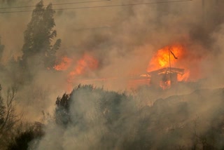 46 reported dead  Wildfires spreading in Chile  ಚಿಲಿಯಲ್ಲಿ ಕಾಡ್ಗಿಚ್ಚು  ಚಿಲಿ ಅಧ್ಯಕ್ಷ ಬೋರಿಕ್ ಗೇಬ್ರಿಯಲ್  ಬೆಂಕಿಯ ಆರ್ಭಟಕ್ಕೆ ಜನ ತತ್ತರ