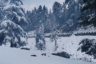 There were temperature differences throughout the region with Gulmarg minus 7.0°C, Pahalgam minus 3.5°C, and Srinagar minus 0.7°C.