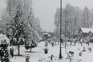 Snowfall in Kshmir