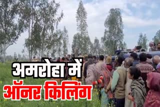amroha honor killing loving couple bodies found hanging from tree Double Murder Case Crime News UP